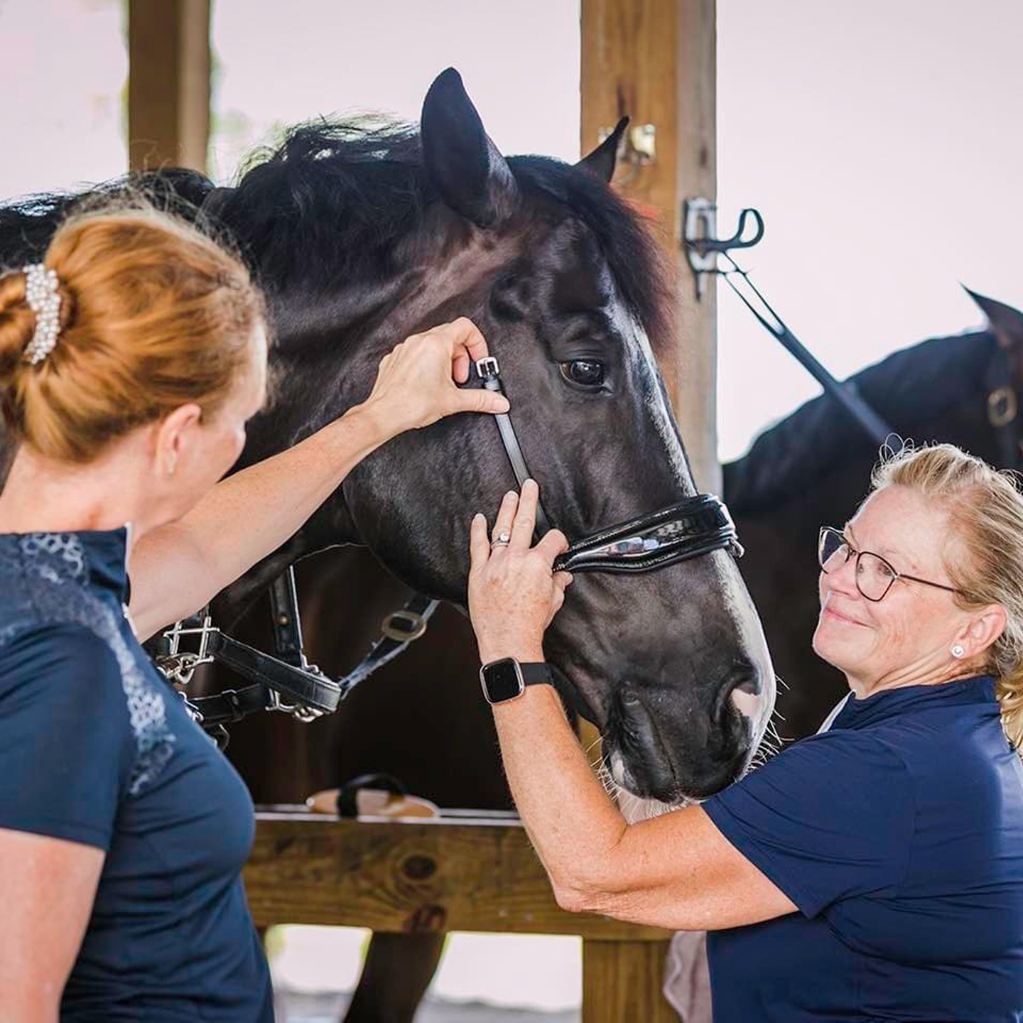 Dressage Collections
